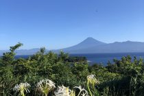 梅雨明け後の大瀬崎🌞
