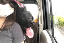 日本での自主隔離8日目！