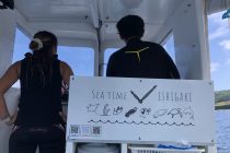 オリンピック。