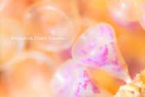 ワイングラスで乾杯🍷