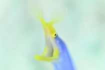 台風に負けず！