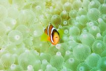 田子でした〜🤗🎶