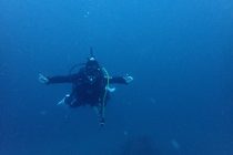 スキルUPしよう🎶