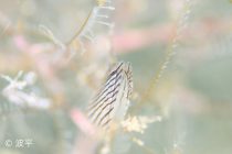 黄金崎へ遠征♬