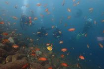 まだ夏気分で🎶