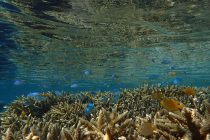 気分だけでも温かく♬