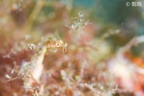 今日も黄金崎♬