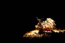 勘太くんとPHOTOダイブ！