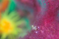 獅子浜が熱い！