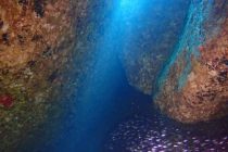 雲見ダイビング＆グルメ満喫🤭🎶