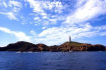 アクエリアス神子元ツアー🦈✨