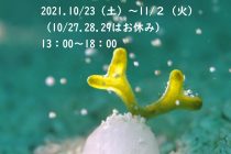 白石拓己写真展 in 和歌山⭐️