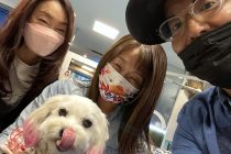 気分転換にイメチェン💚