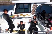 千葉・西川名ダイビング🎶