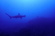 神子元トレーニング🎶