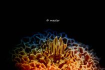 ケーキ屋さん常連😳