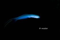 冬の海に向けて👍