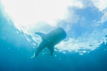 雨で寒い日には🌞