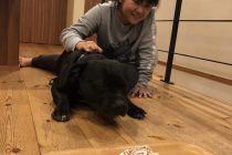 ピース8才🎂✨