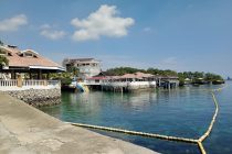 いつもの光景✨✨