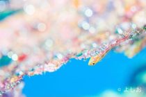 消防団の人が😳