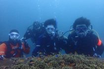 体験ダイビング✨✨