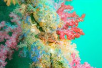 噂の古座😳✨✨