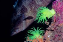 今日はみなべ❣️からの四国へ〜