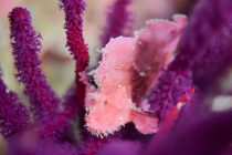 今年一番の冷え込み🥶