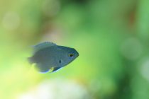 隔離が免除になりました！！！