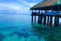 紹介してくださいました！