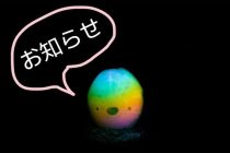 お知らせです⭐️