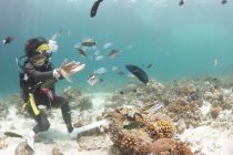 戻れる日まで！