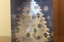 台風から3日経ちました。