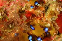 フィリピンな1日🇵🇭✨✨