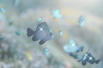 イルミネーション✨✨