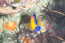 北川の水中も楽しすぎ♬