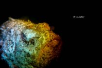 とりあえず癒されましょ✨✨