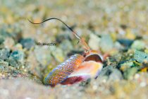 ドライスーツ初おろし🎶