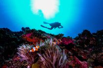 窒素が足りないっ！