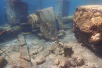 調査ダイビングのご報告。