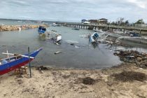 現地からの報告！