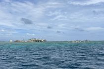 現地より！離島速報⭐️