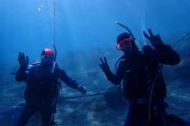 ダイバーさん誕生です✨✨