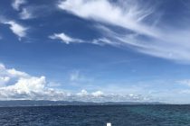 現地リポート！