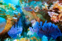 大瀬ボートへ💙💜🧡💚