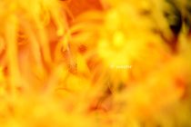 パーフェクトな1日😆✨✨