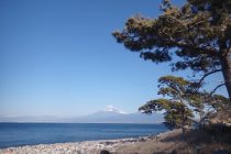 THEニッポン🇯🇵✨✨