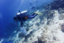 水中クリーンナップ活動の報告とご支援のお願い。