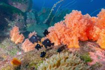 久々の外海✨✨